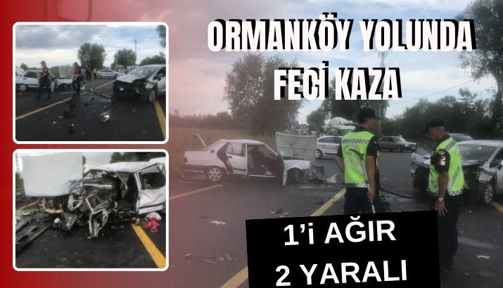 Akyazı-Ormanköy Yolunda Trafik Kazası: 1’i Ağır 2 Yaralı