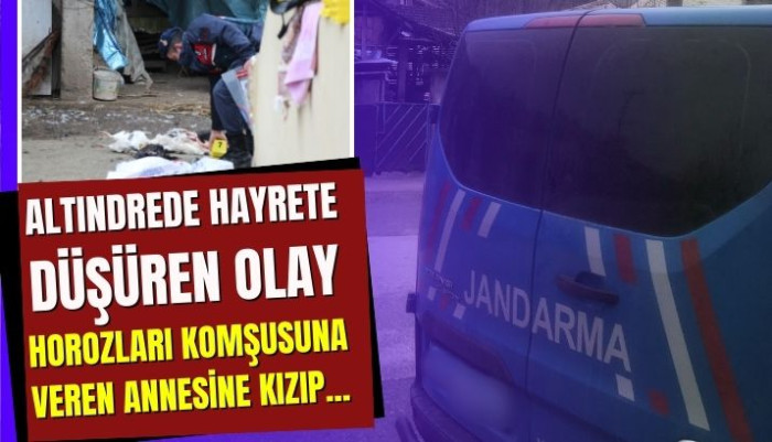 Akyazı'da Hayret Edici Olay