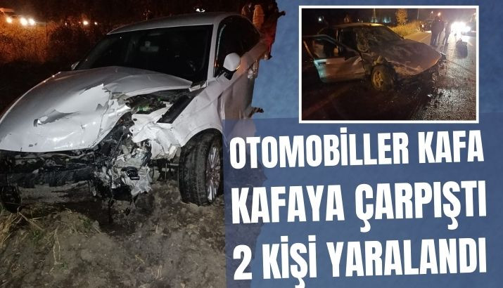 Akyazı'da Otomobiller Kafa Kafaya Çarpıştı Kazada İki Kişi Yaralandı