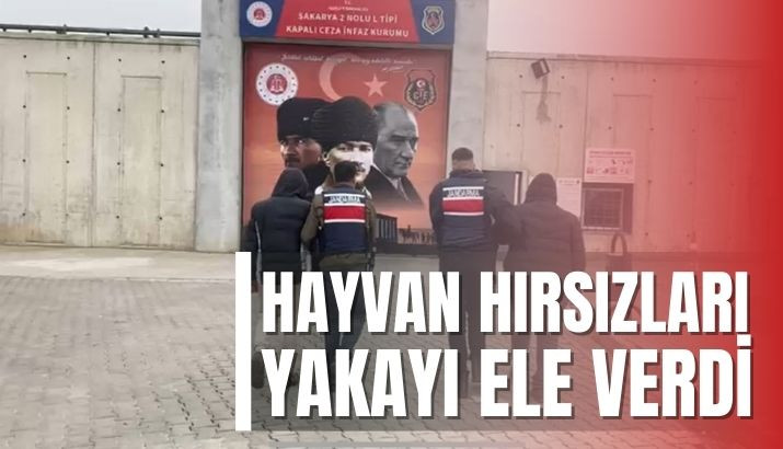 JANDARMA O HIRSIZLARI OPERASYONLA YAKALADI