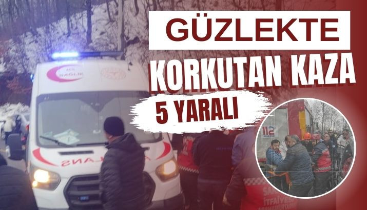 Kızak Şenliği Yolunda Feci Kaza: Alkollü Sürücü Şoku!